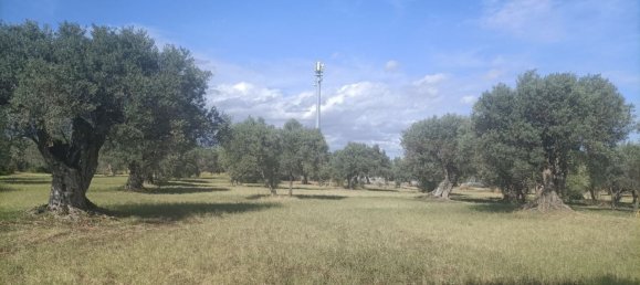  قطعة أرض في Siderno, Italy رقم 344353 12