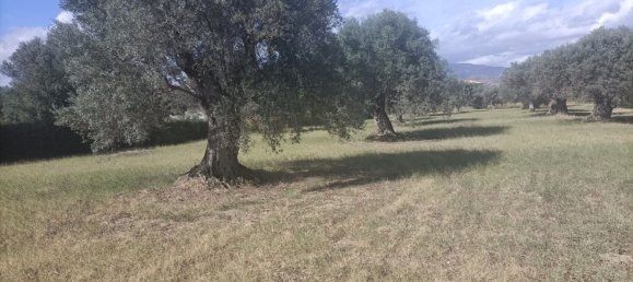  قطعة أرض في Siderno, Italy رقم 344353 11