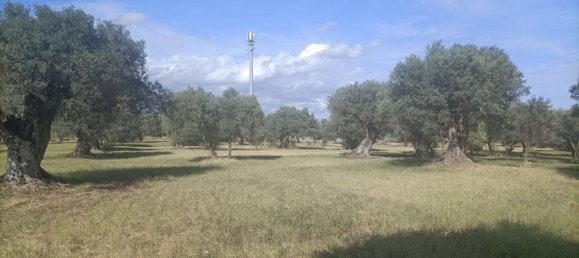  قطعة أرض في Siderno, Italy رقم 344353 8