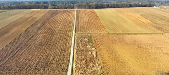  قطعة أرض في Oberschutzen, Austria رقم 135020 2