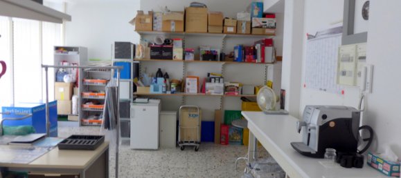 Коммерческая недвижимость с 5 комнатами в Фрайбург им Брайсгау, Германия № 17910 5