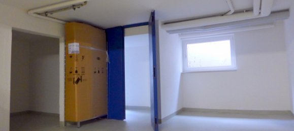 Коммерческая недвижимость с 5 комнатами в Фрайбург им Брайсгау, Германия № 17910 7