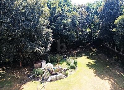 2 rooms Apartment in Harz, Germany No. 334084