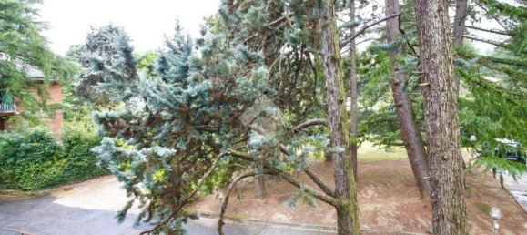 Квартира с 2 спальнями в Пино Торинезе, Италия № 315703 32