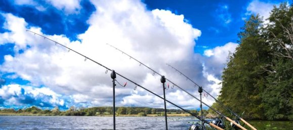 3 غرف نوم قطعة أرض في Bourges, France رقم 80586 7