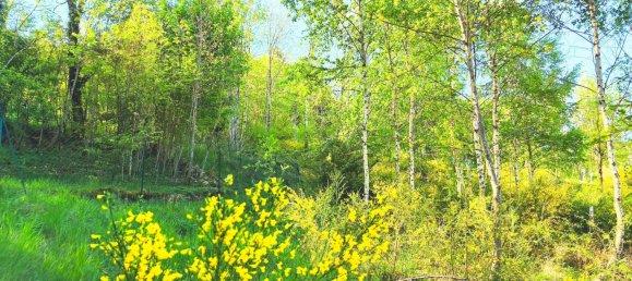 Grundstück in Cornimont, France 3123m², Nr. 269281 16