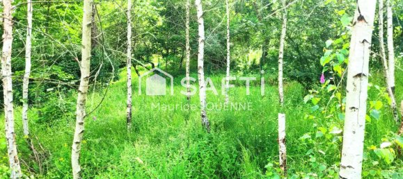 Grundstück in Cornimont, France 3123m², Nr. 269281 5