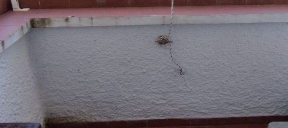 3 chambres Appartement à Santa Marinella, Italy No. 370823 2