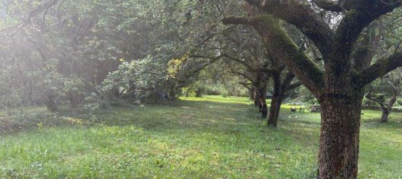  Land in Gotha, Germany No. 34326 4