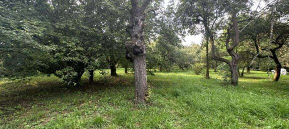  Land in Gotha, Germany No. 34326 2