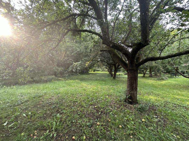  Land in Gotha, Germany No. 34326