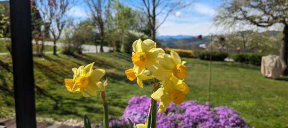 Дом с 4 комнатами в Лейбнитц, Австрия № 131692 12