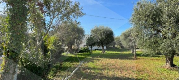 3 rooms House in Monopoli, Italy No. 20289 15