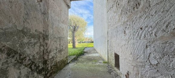 3 rooms House in Monopoli, Italy No. 20289 25