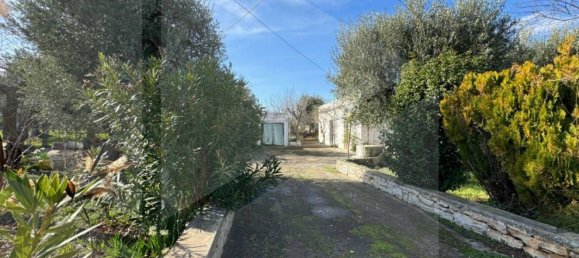 3 rooms House in Monopoli, Italy No. 20289 32