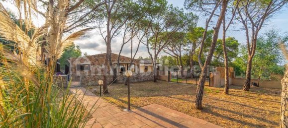 Villa de 4 dormitorios en Budoni, Italy No. 71221 44