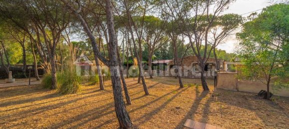 Villa de 4 dormitorios en Budoni, Italy No. 71221 49