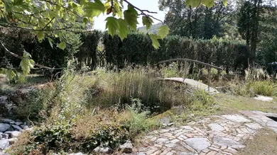 3-Zimmer Bungalow in Pressbaum, Austria, Nr. 94731