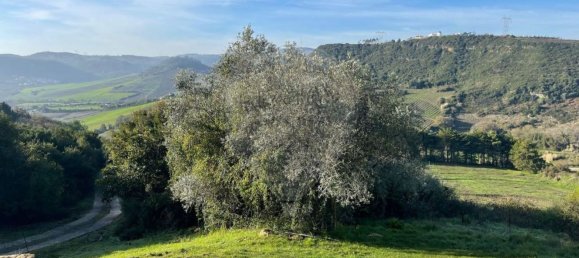 6 غرف نوم منزل في Sobral de Monte Agraco, Portugal رقم 54502 4