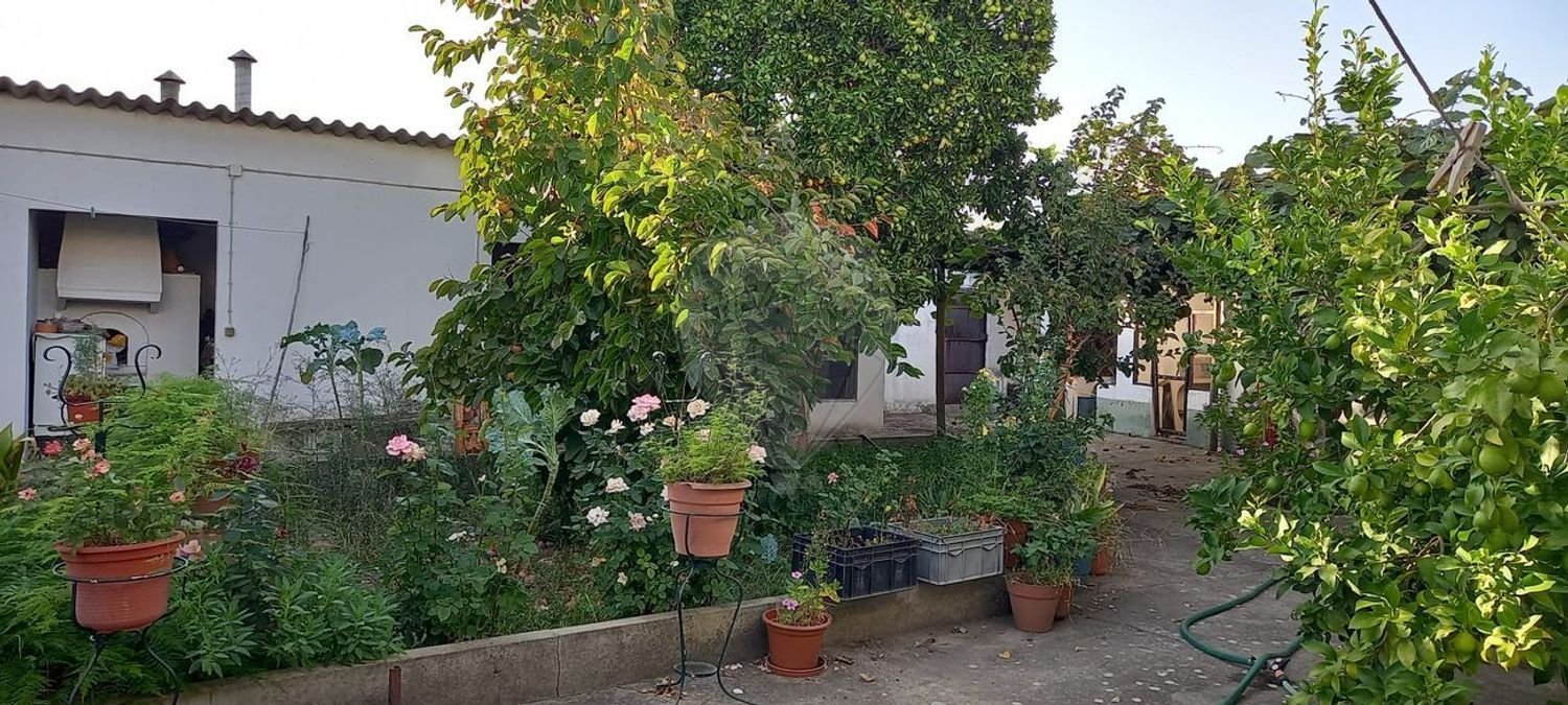 Casa de 3 dormitorios en Ulme, Portugal No. 24835