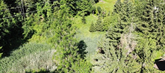 Земельный участок в Пернегг ан дер Мур, Австрия № 130608 5