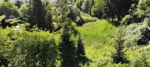 Земельный участок в Пернегг ан дер Мур, Австрия № 130608 7