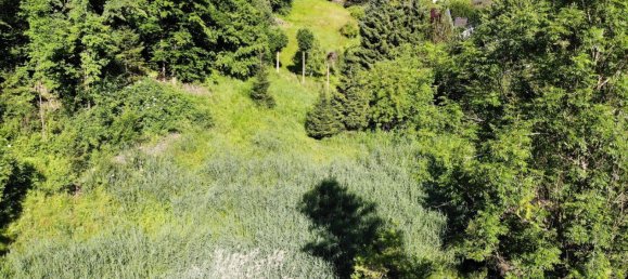 Земельный участок в Пернегг ан дер Мур, Австрия № 130608 6