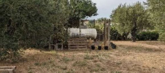 6 rooms Apartment in Nettuno, Italy No. 184422 8