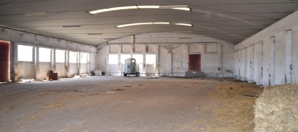 Terreno en Landeira, Portugal 2033 m² No. 145010 22