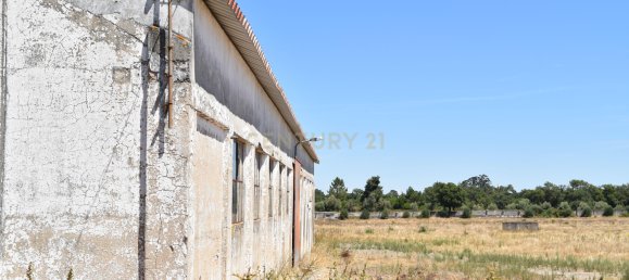 Terreno en Landeira, Portugal 2033 m² No. 145010 12