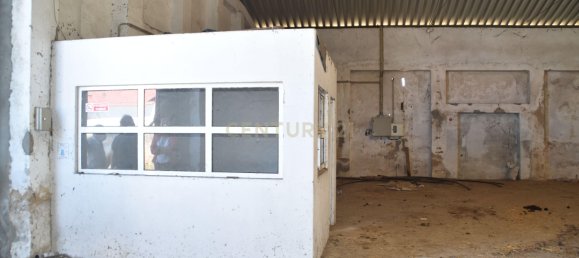 Terreno en Landeira, Portugal 2033 m² No. 145010 25