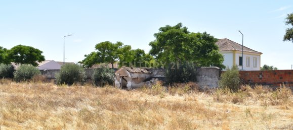 Terreno en Landeira, Portugal 2033 m² No. 145010 8