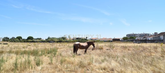 Terreno en Landeira, Portugal 2033 m² No. 145010 11