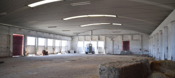 Terreno en Landeira, Portugal 2033 m² No. 145010 23