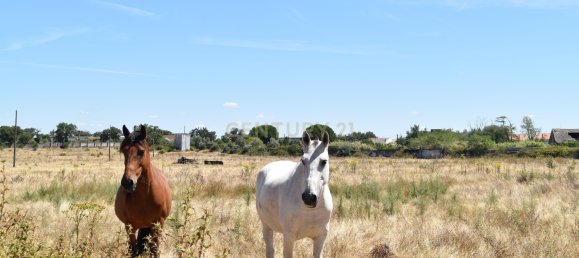 Terreno en Landeira, Portugal 2033 m² No. 145010 10