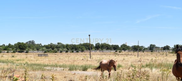 Terreno en Landeira, Portugal 2033 m² No. 145010 13