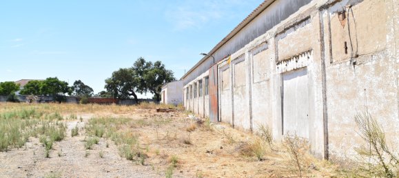 Terreno en Landeira, Portugal 2033 m² No. 145010 20