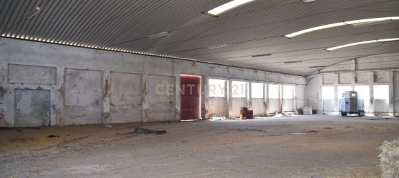 Terreno en Landeira, Portugal 2033 m² No. 145010 24