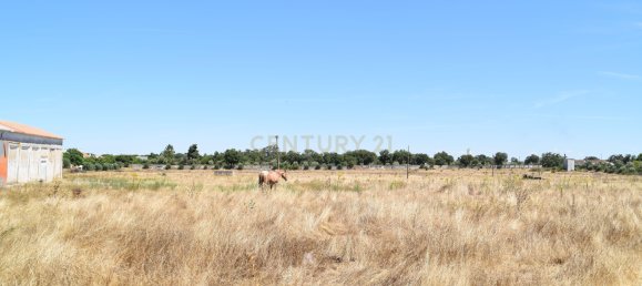 Terreno en Landeira, Portugal 2033 m² No. 145010 15