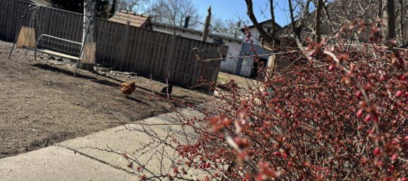 3 rooms House in Andau, Austria No. 212903 11