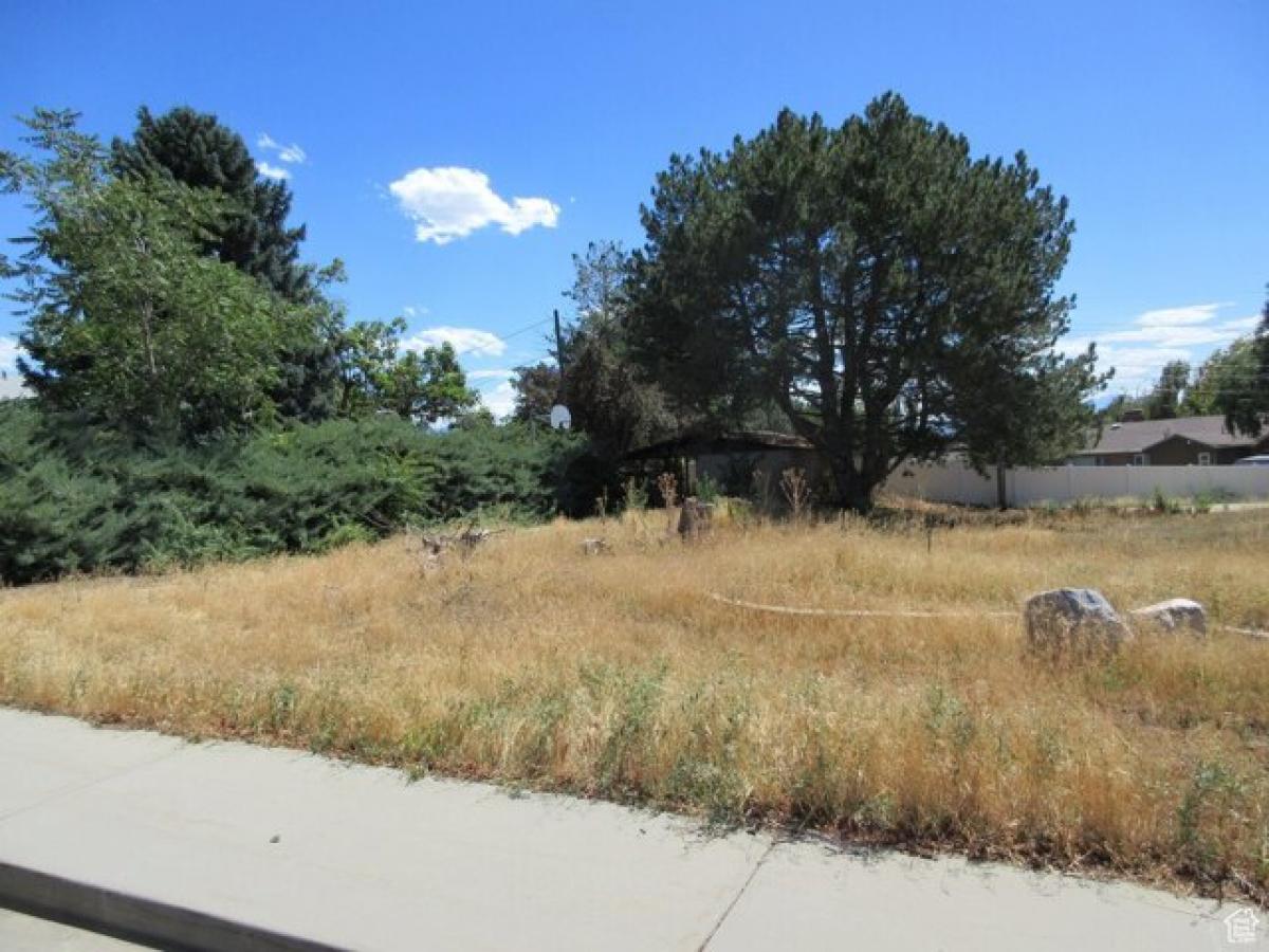  Land in Orem, USA No. 493685