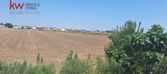 4 chambres Maison de ville à Meneou, Cyprus No. 26771 5
