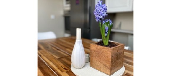 Дуплекс с 2 спальнями в Хаген, Германия № 65279 5