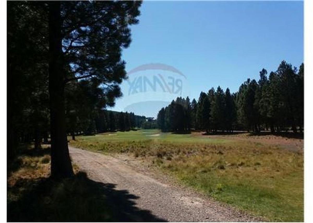 Terrain à Neuquen, Argentina No. 42551