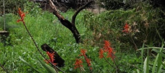 3 rooms House in Ghilarza, Italy No. 299006 9