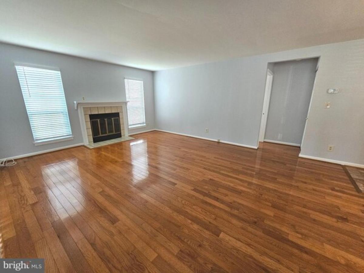 Studio in Alexandria, USA No. 435985