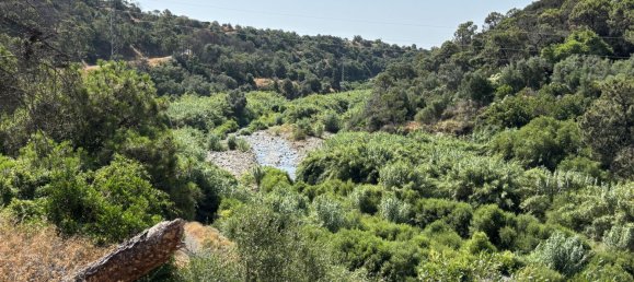 13391m² Land in Estepona, Spain No. 140650 12