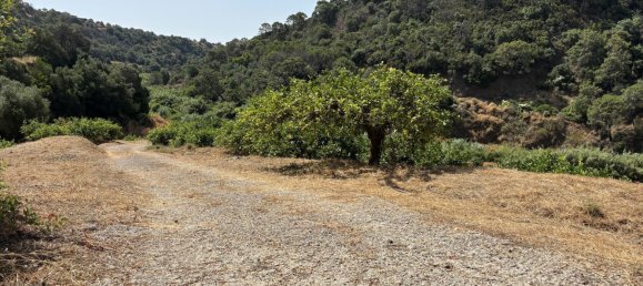 13391m² Land in Estepona, Spain No. 140650 16