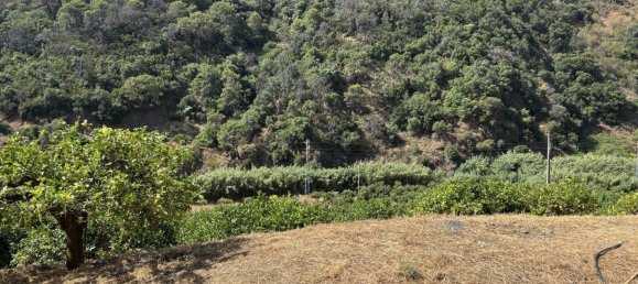 13391m² Land in Estepona, Spain No. 140650 17