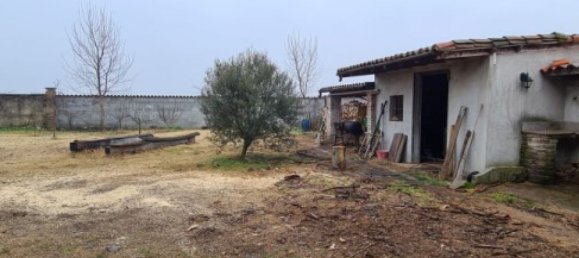 7 bedrooms House in Cerano, Italy No. 70053 39